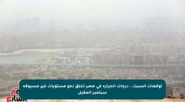 توقعات السبت.. درجات الحرارة في مصر تحلق نحو مستويات غير مسبوقة سبتمبر المقبل